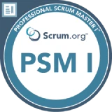 Professional Scrum Master