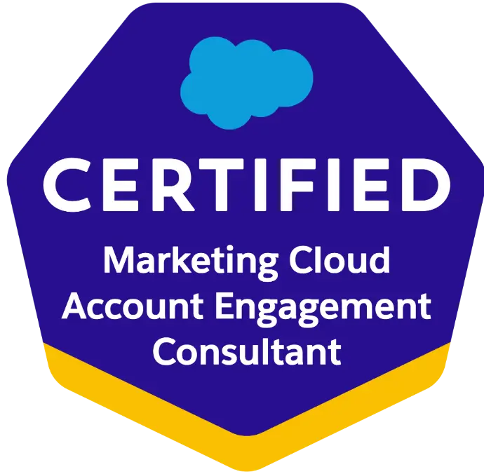 Salesforce Marketing Cloud Consultant