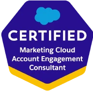 Salesforce Marketing Cloud Consultant
