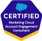 Salesforce Marketing Cloud Consultant